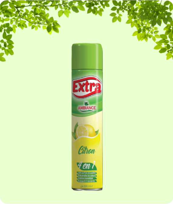 DÉSODORISANT EXTRA CITRON 300 ML