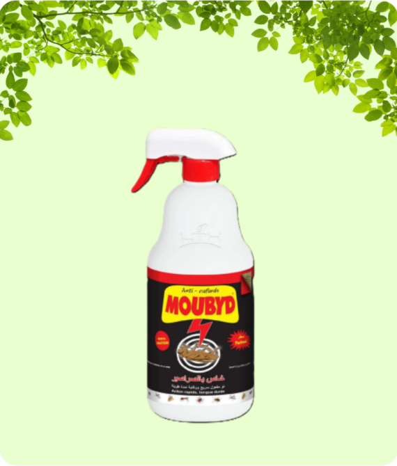 Moubyd
