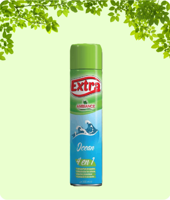 DÉSODORISANT EXTRA OCÉAN 300 ML